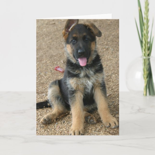 Carte de voeux de chiot de berger allemand (Devant)