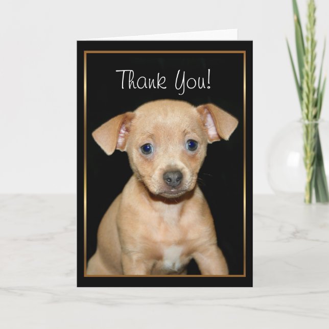 Carte de voeux de chiot de chiwawa de Merci (Devant)