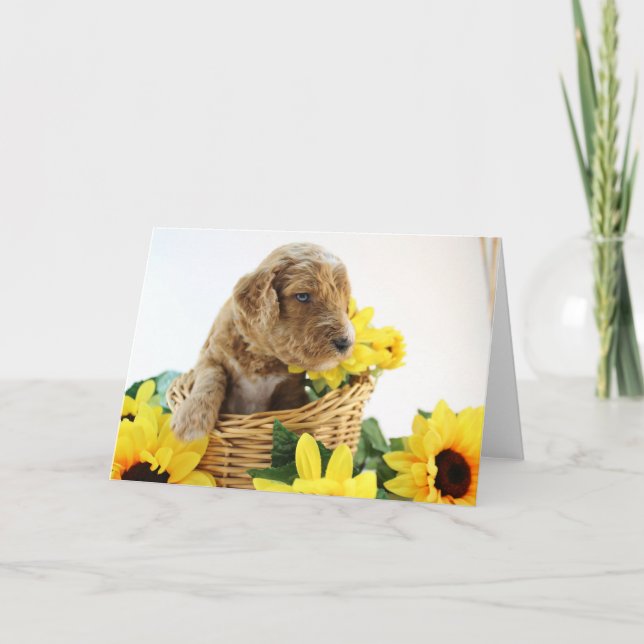 Carte de voeux de chiot de Goldendoodle (Devant)