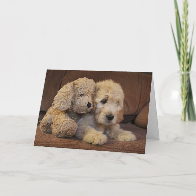 Carte de voeux de chiot de Goldendoodle (Devant)