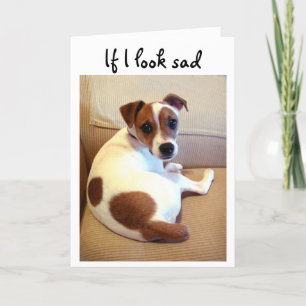 Carte de voeux de chiot de Jack Russell Terrier