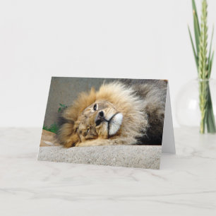 Carte de voeux de clin d'oeil de lion