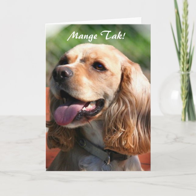 Carte de voeux de cocker de Merci de Tak de gale (Devant)