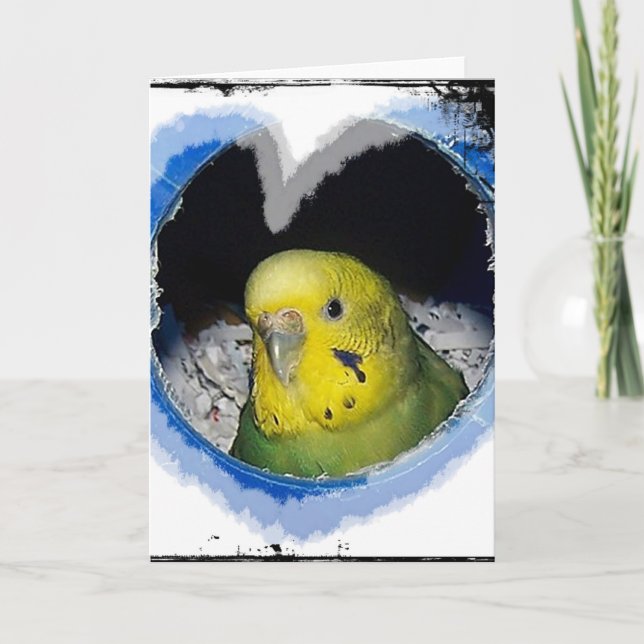 Carte de voeux de coeur d'oiseau de perruche (Devant)