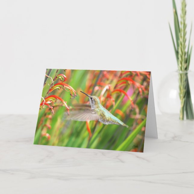 Carte de voeux de colibri (Devant)