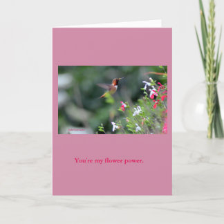 Carte de voeux de colibri