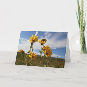 Carte de voeux de coucher du soleil de prairie