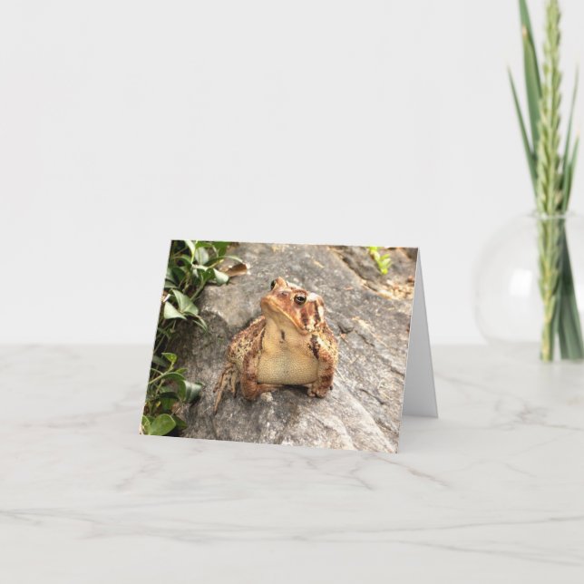 Carte de voeux de crapaud de grenouille d'amitié (Devant)