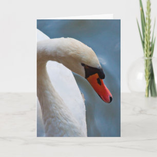 Carte de voeux de cygne