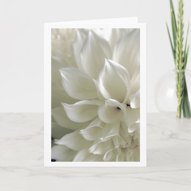Carte de voeux de dahlia (Devant)