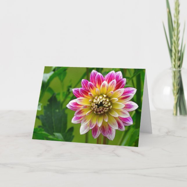 Carte de voeux de dahlia, intérieur vide (Devant)