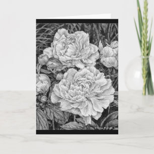 Carte de voeux de dessin Peonies blanches