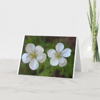 Carte de voeux de deux fleurs blanches