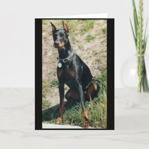 Carte de voeux de dobermann