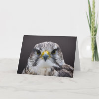 Carte de voeux de Faucon Saker, vide à l'intérieur