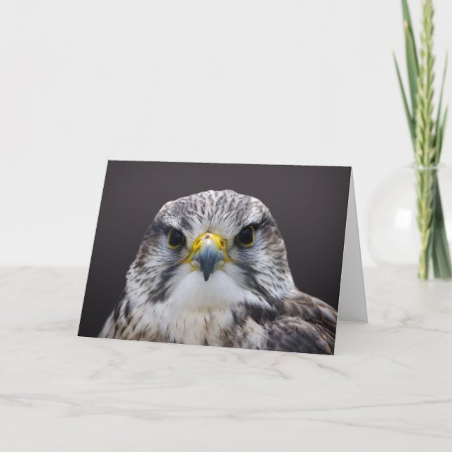 Carte de voeux de Faucon Saker, vide à l'intérieur (Devant)