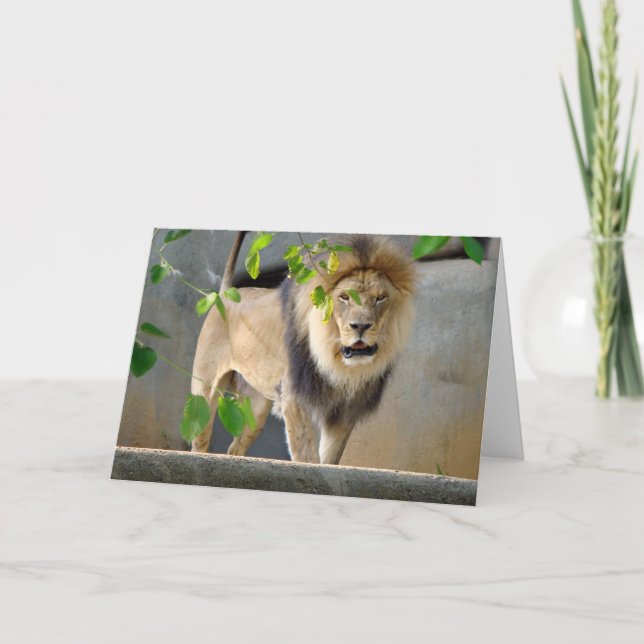 Carte de voeux de faune de lion (Devant)