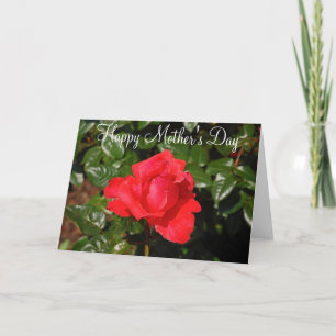 Carte de vœux de fête des mères rose rouge unique