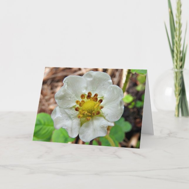 Carte de voeux de fleur de fraise, intérieur vide (Devant)