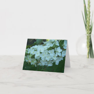 Carte de voeux de fleur d'hortensia de feuille de