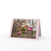 Carte de voeux de fleurs de cerisier