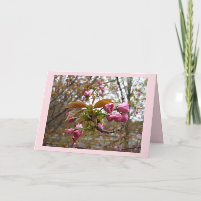 Carte de voeux de fleurs de cerisier (Devant)