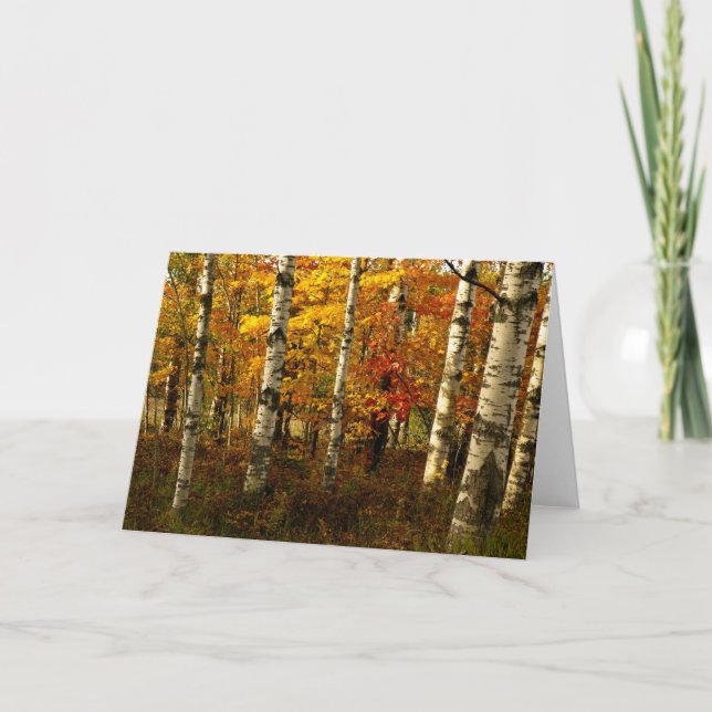Carte de voeux de forêt de bouleau (Devant)