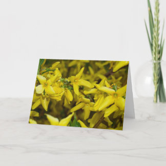 Carte de voeux de forsythia