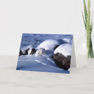 Carte de voeux de Fox arctique