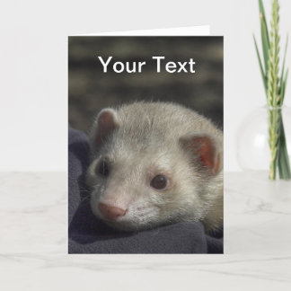 Carte de voeux de furet