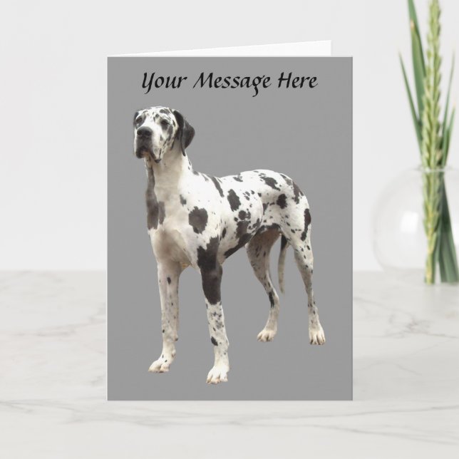 Carte de voeux de harlequin de great dane (Devant)