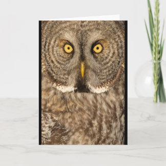 Carte de voeux de hibou de grand gris
