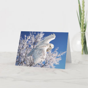Carte de voeux "de hibou de Milou"