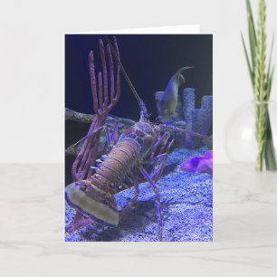 carte de voeux de homard (drôle à l'intérieur)