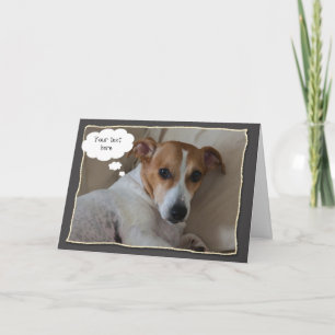 Carte de voeux de Jack Russell