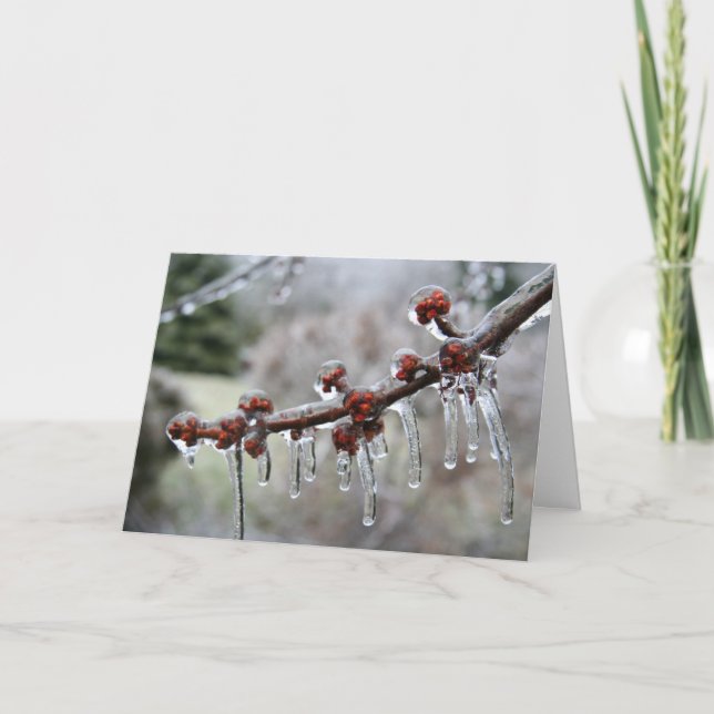 Carte de vœux de joyeuses fêtes (Devant)