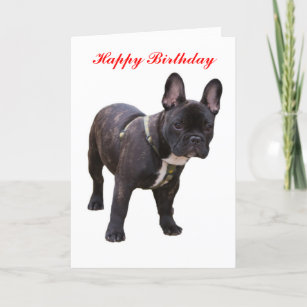 Cadeaux Anniversaire Bouledogue Zazzle Be