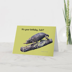 Carte de voeux de joyeux anniversaire (en vert)