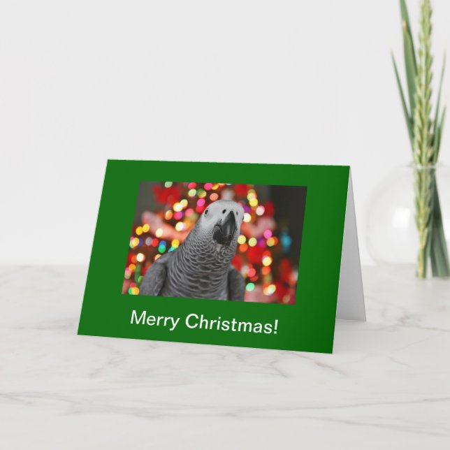Carte de voeux de Joyeux Noël de perroquet de gris (Devant)