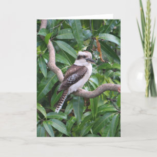 Carte de voeux de Kookaburra riant