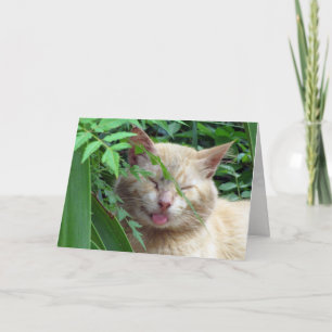 Carte de voeux de la bête