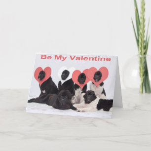 Carte de voeux de la journée des valentines de chi
