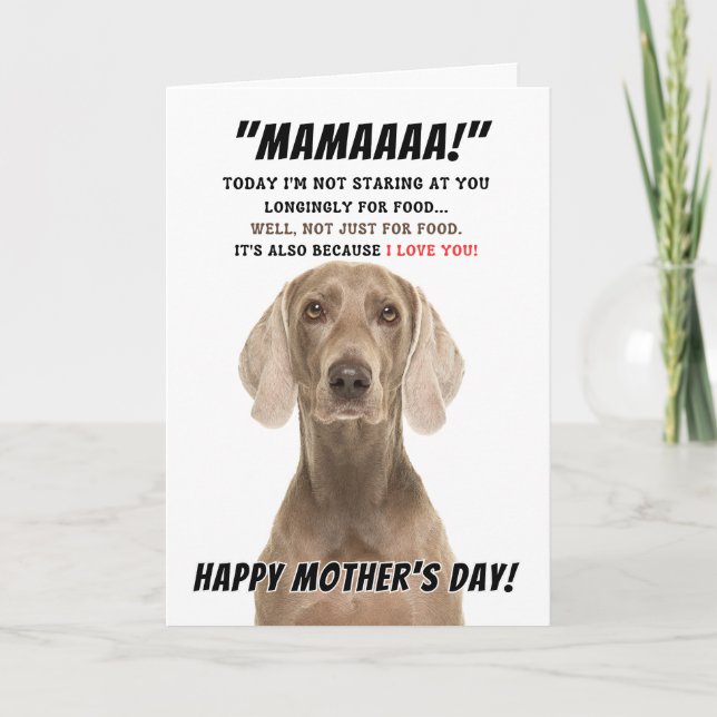 Carte de voeux de la mère Weimaraner (Devant)