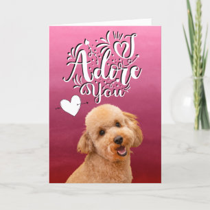 Carte de vœux de la Saint-Valentin pour un Caniche