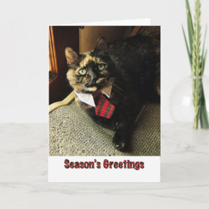 Carte de voeux de la saison de Tortie, tenant le