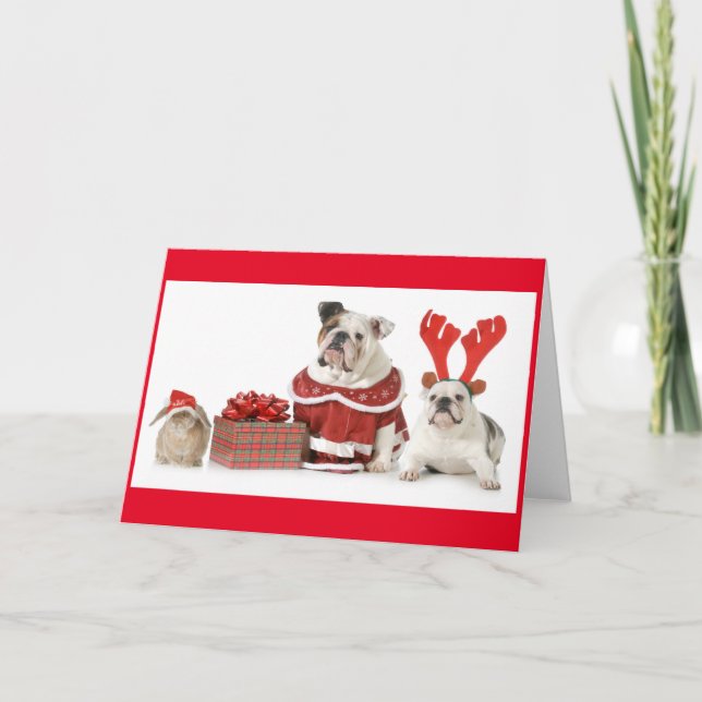 Carte de voeux de LAPIN ET de NOËL de DEUX (Devant)