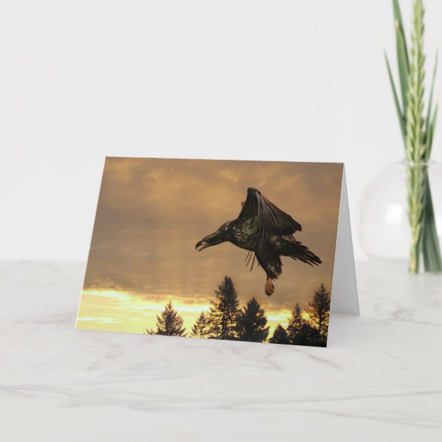 Carte de voeux de lever de soleil d'Eagle (Devant)