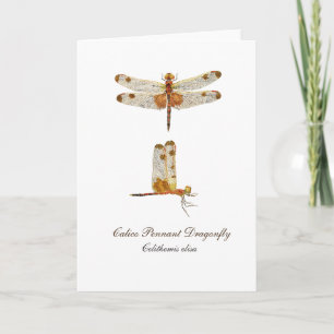 Carte de voeux de libellule Calico Pennant