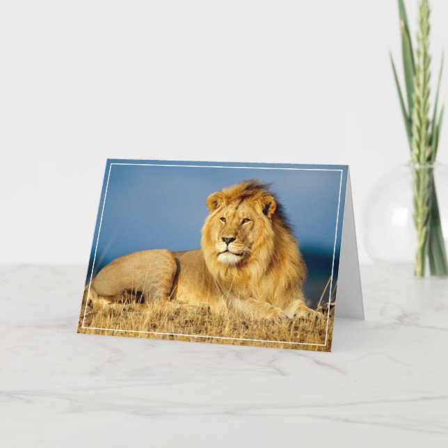 Carte de voeux de lion (Devant)