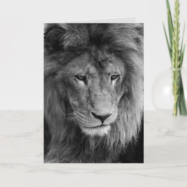 carte de voeux de lion mâle (Devant)